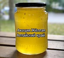 ̸� ��������� ����������� ������ ƨ����, ��������� ����, 2026 ���