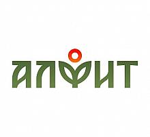 ����� ����