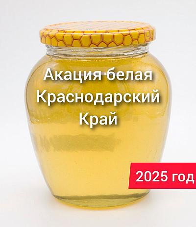 ̸   ,  , 2025 