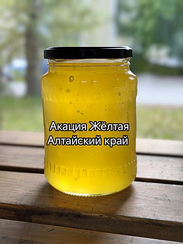 ̸� ��������� ����������� ������ ƨ����, ��������� ����, 2026 ���