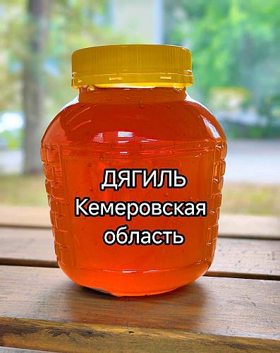 ̸� ��������� ����������� ���������, ����������� �������, ���� 2026 ����
