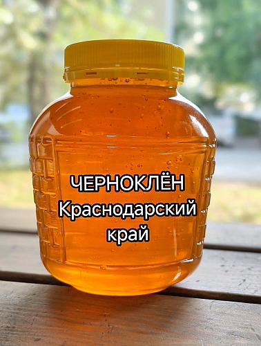 ̸� ��������� ����������� ������˨�����, ������������� ����, 2026 ���